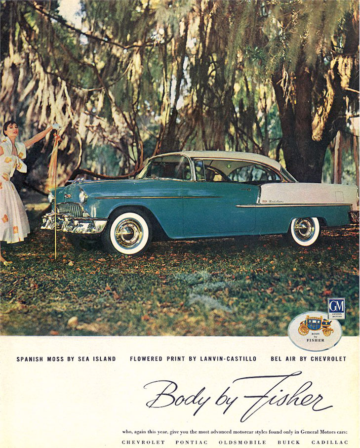 1955 Chevrolet 19